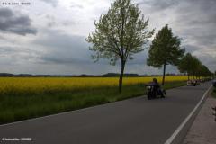 Canon-EOS-650D1_316