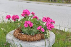 sachsenbike-heimkinderausfahrt-2026-92