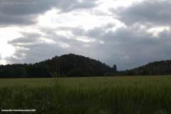 MG_1895